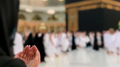 مالاتعرفه عن قطط الشيرازي.. محبوب الملكة فيكتوريا الأزلي!